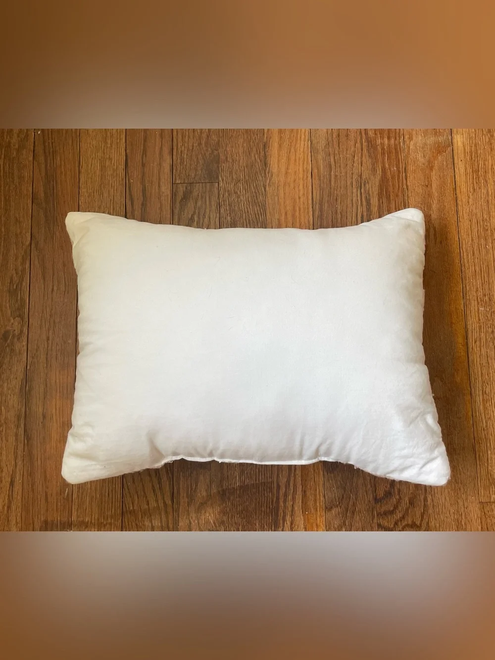 Embroidered Decorative Throw Accent Pillows